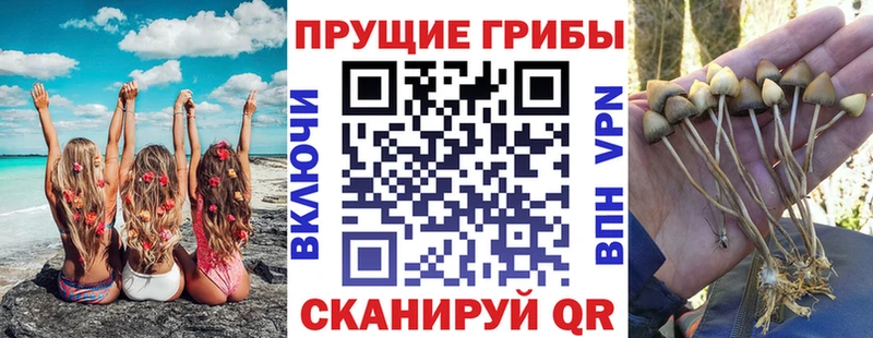 Псилоцибиновые грибы GOLDEN TEACHER  KRAKEN рабочий сайт  Алапаевск 